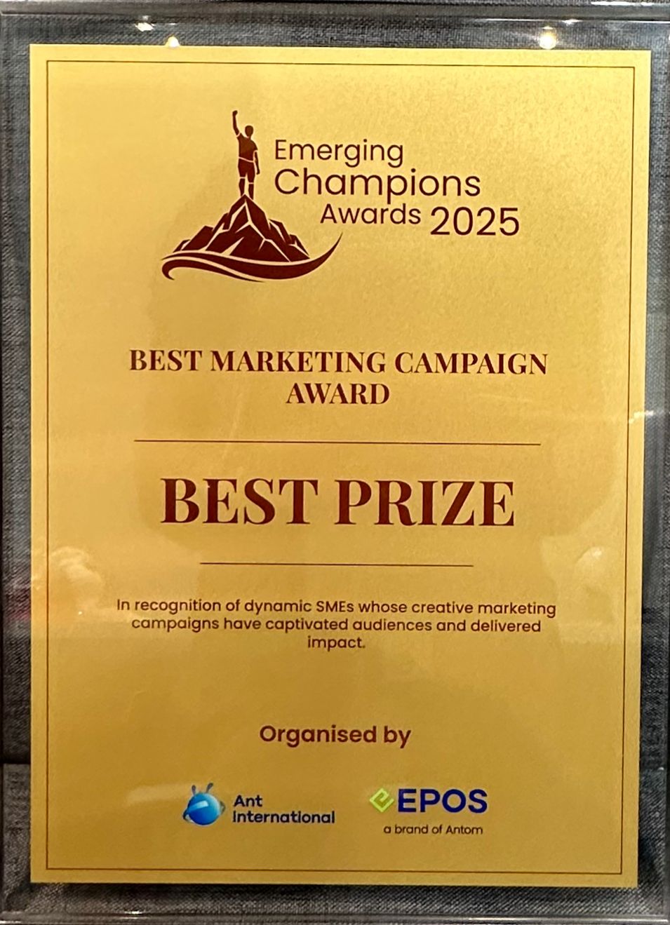 WhatsApp Image 2025-12-31 at 11.58.04_2a3f5953